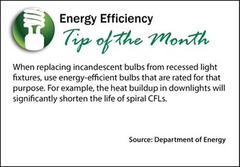 Energy Efficiency Tip of the Month